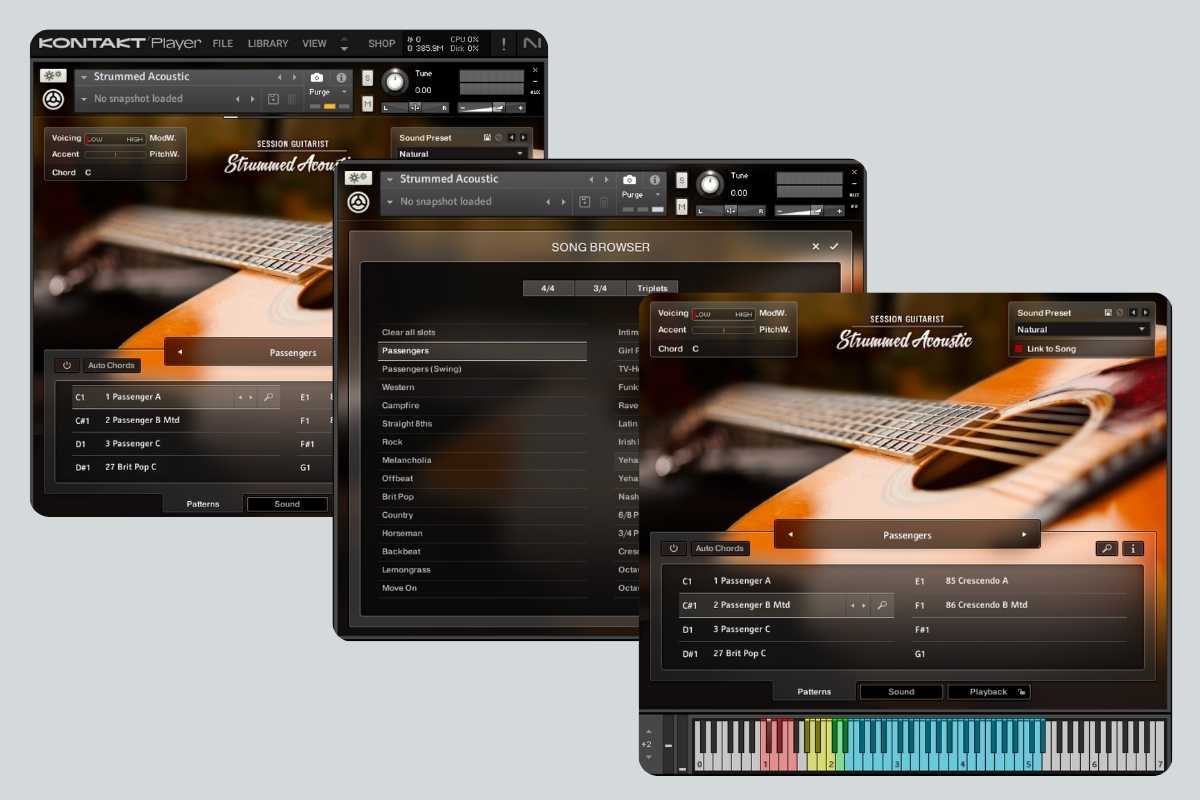 Native Instruments Session Guitarist Strummed Acoustic