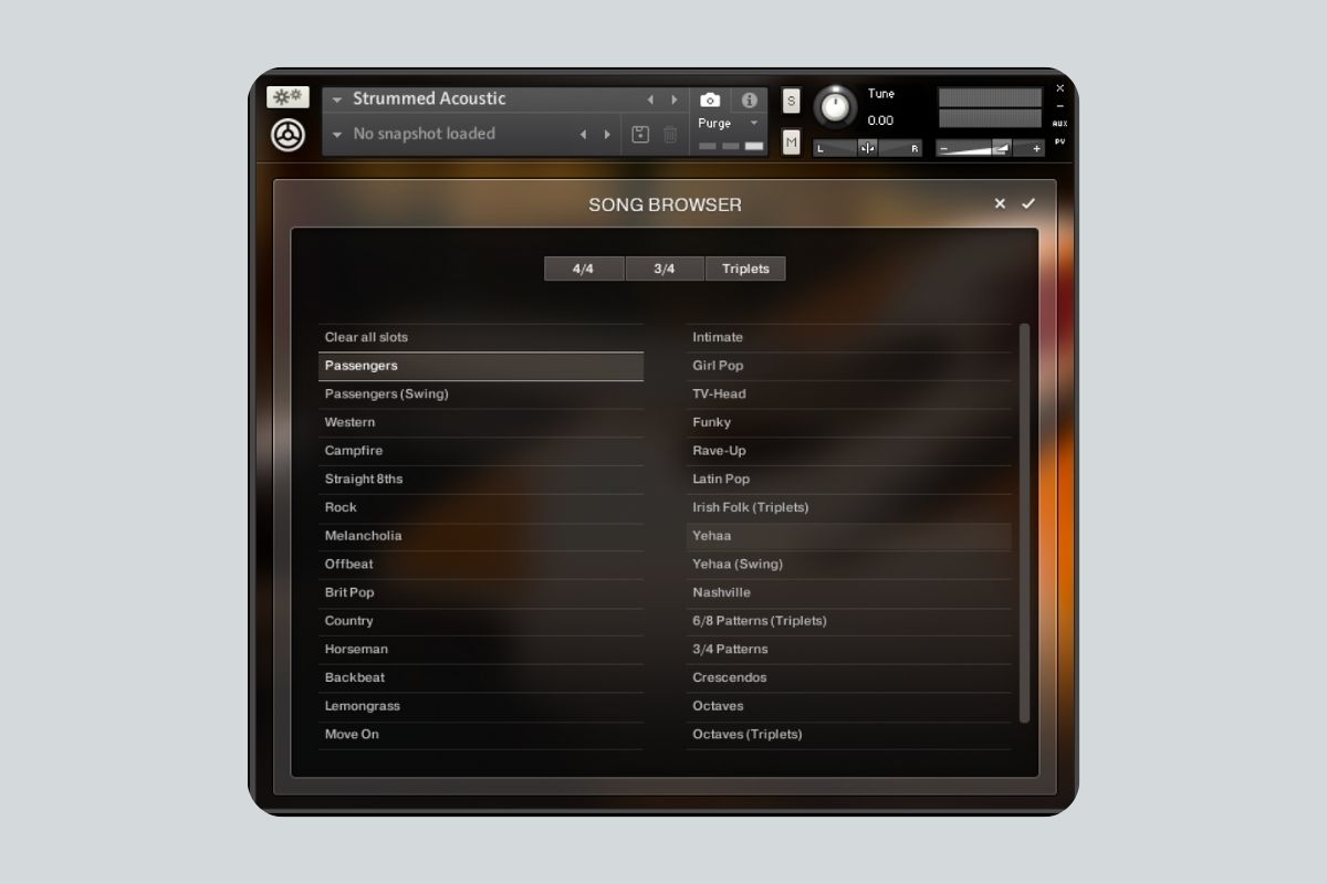 Native Instruments Strummed Acoustic chord strum rhythms